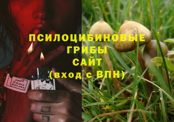 МДПВ Магас