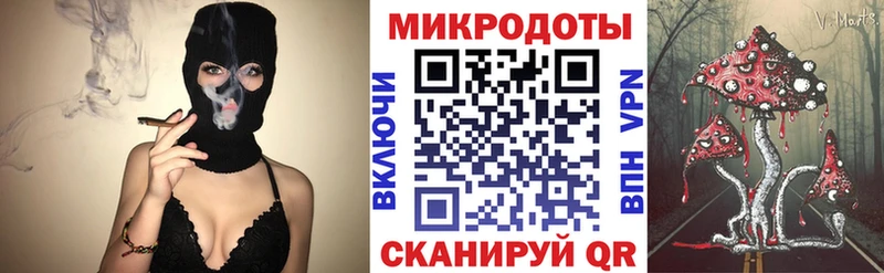 где купить наркотик  Берёзовка  Псилоцибиновые грибы Psilocybe 